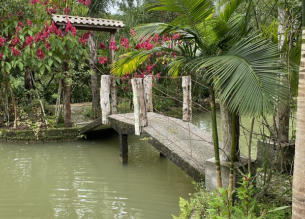 Recanto Vô Nicolau (2)